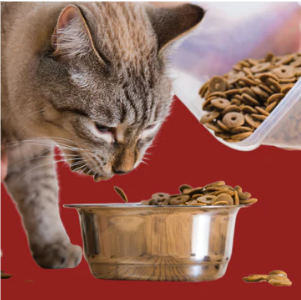 Pet Supplies  مستلزمات الحيوانات